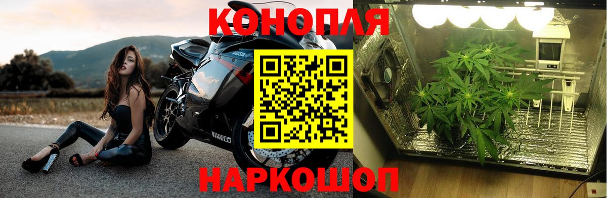НБОМе  Каннабис  Кувандык  Меф МЯУ МЯУ   Вход с VPN  ТГК  ГАШИШ  Гашиш  Codein 