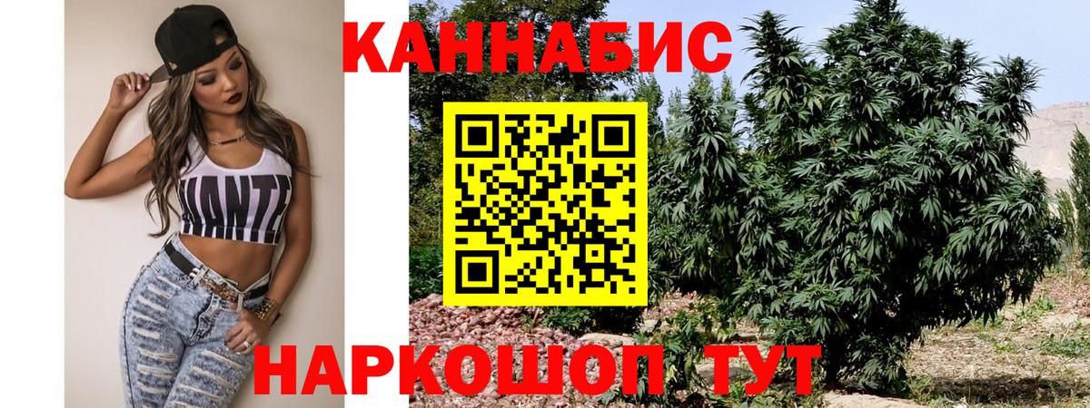 Канабис планчик  Каннабис сатива  Вход с VPN  Кувандык  Каннабис Amnesia 
